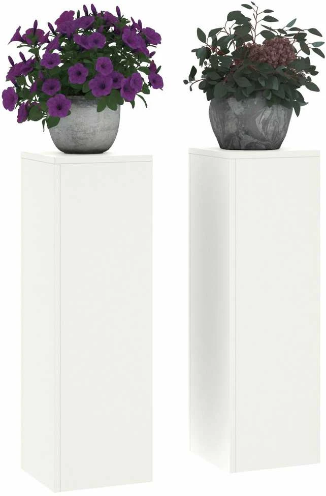 Augalų stovas 2 pcs Balta 24 x 24 x 75 cm Plienas