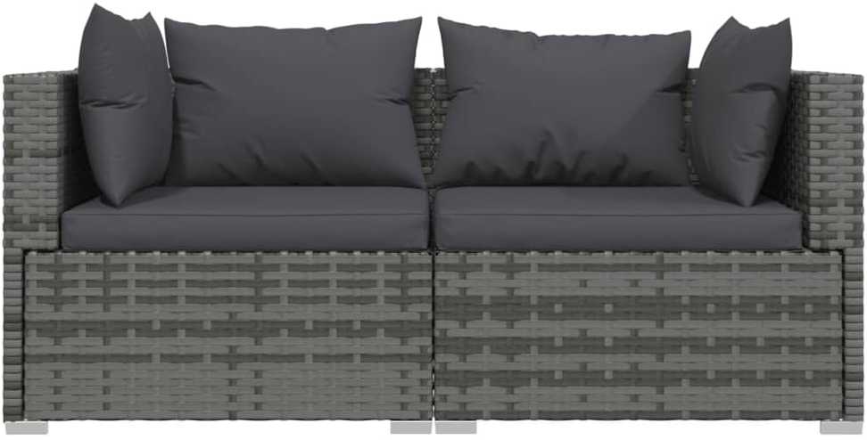 Dvivietė sofa su pagalvėlėmis, pilkos spalvos, poliratanas