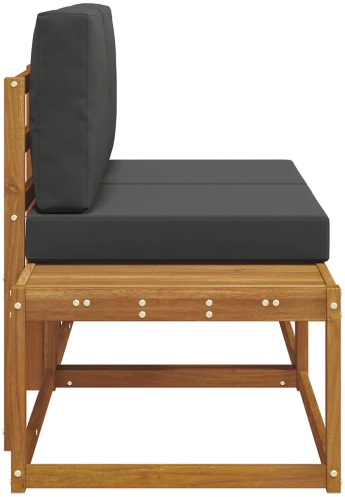 Lauko galinė sofa su pagalve 2 Vienetas Natūralus ir antracitas