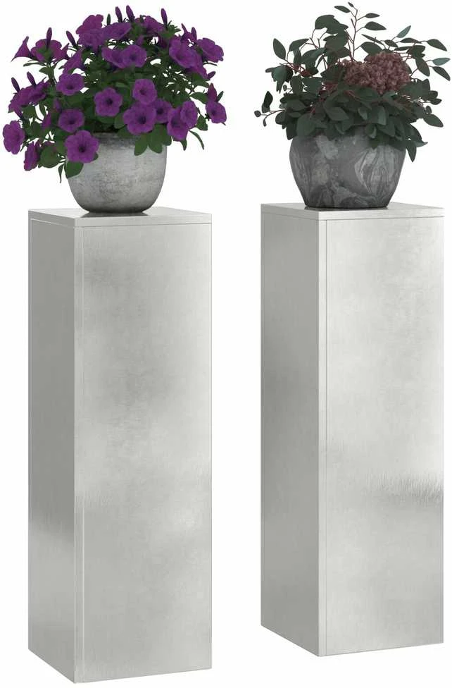 Augalų stovas 2 pcs Sidabro 24 x 24 x 75 cm
