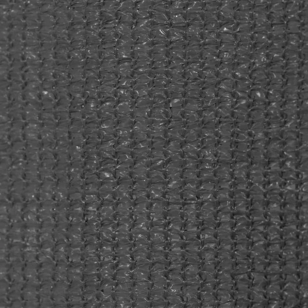 Lauko roletas, 105 (plotis) x 140 (aukštis) cm, antracito spalvos