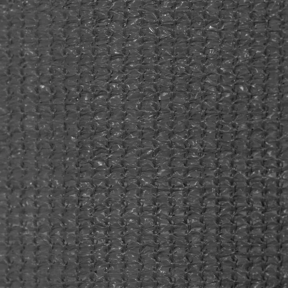Lauko roletas, 185 (plotis) x 140 (aukštis) cm, antracito spalvos