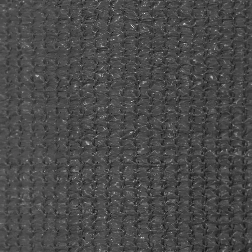 Lauko roletas, 220x140cm, antracito spalvos