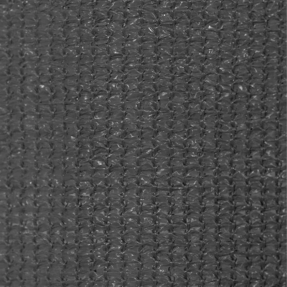 Lauko roletas, antracito spalvos, 60x230cm