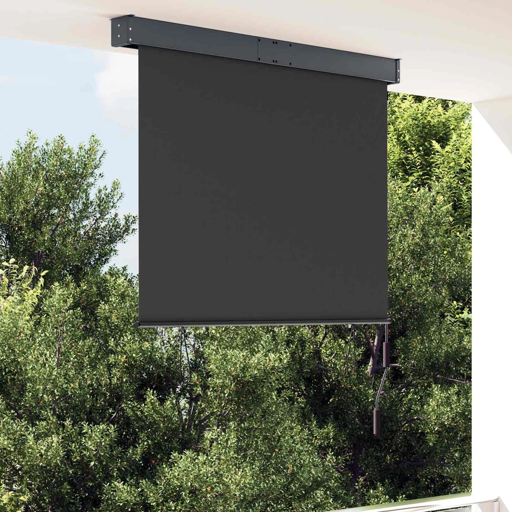 Lauko roletas, antracito spalvos, 120x250cm