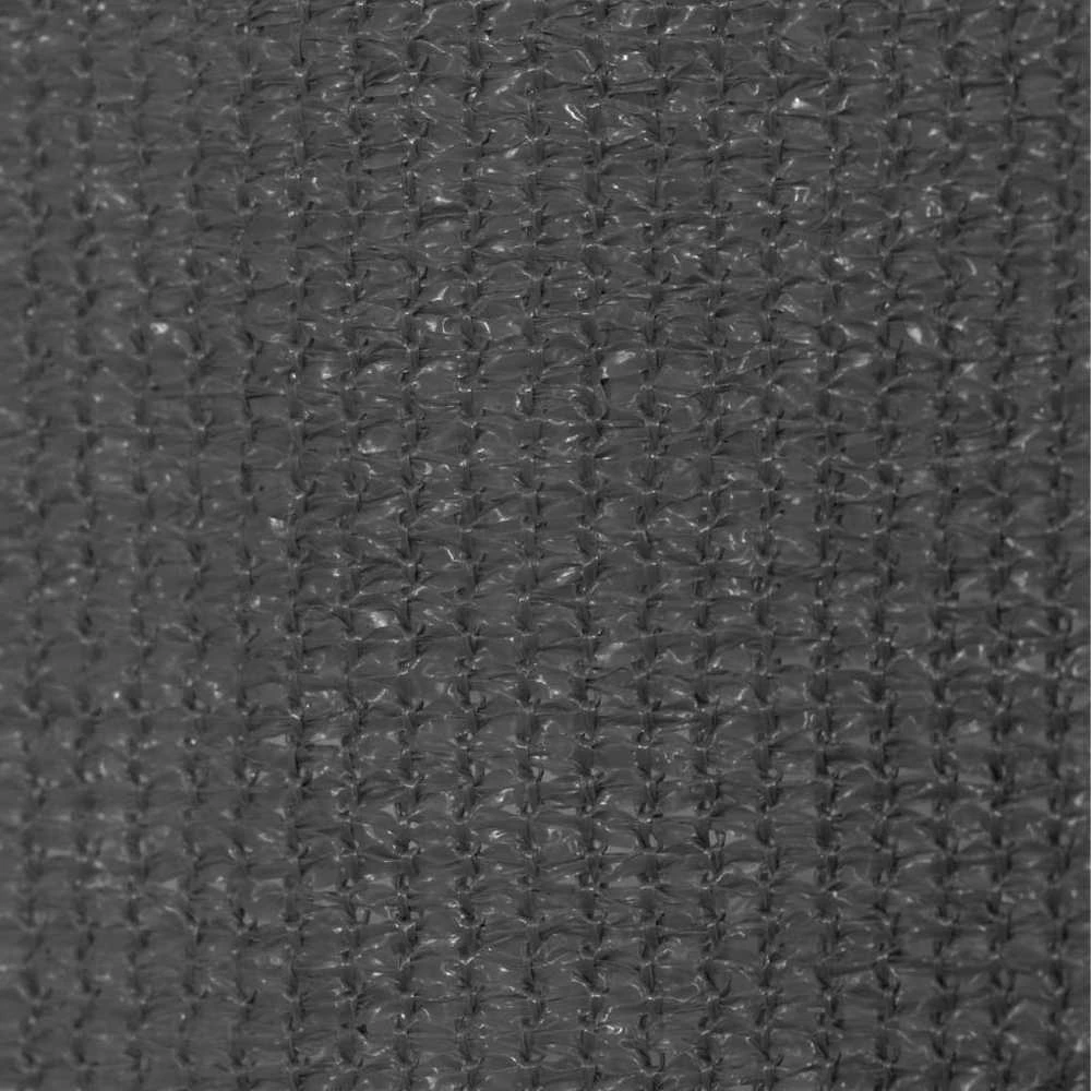 Lauko roletas, antracito spalvos, 60x230cm