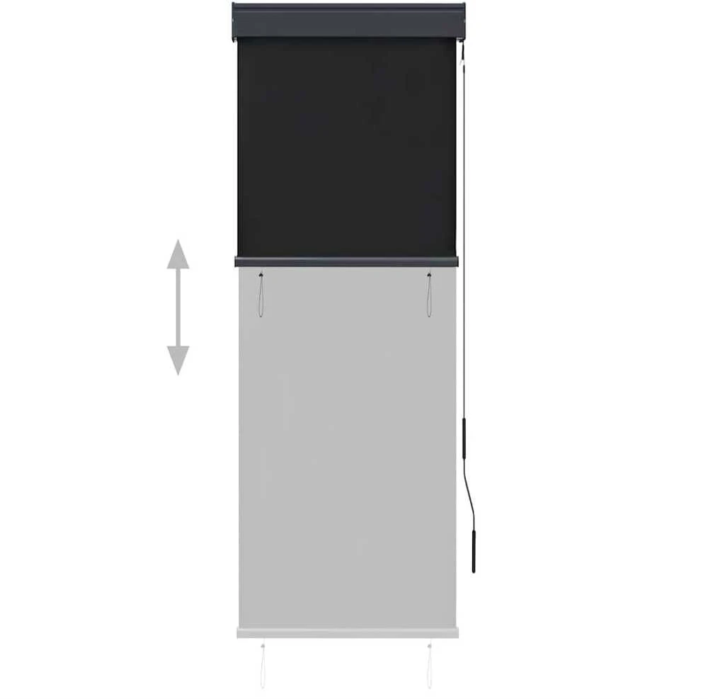 Lauko roletas, antracito spalvos, 60x250cm