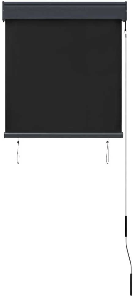 Lauko roletas, antracito spalvos, 60x250cm
