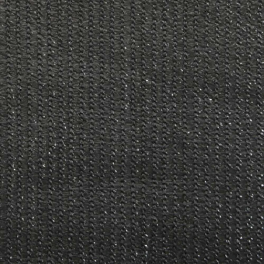 Lauko roletas, antracito spalvos, 80x140cm