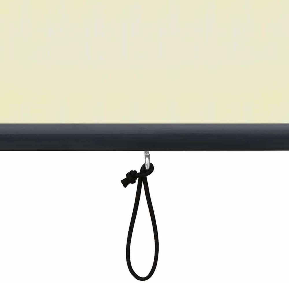 Lauko roletas, kreminės spalvos, 80x250cm