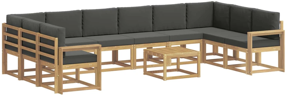 Lauko sofos komplektas 11 vnt. Balta ir antracito