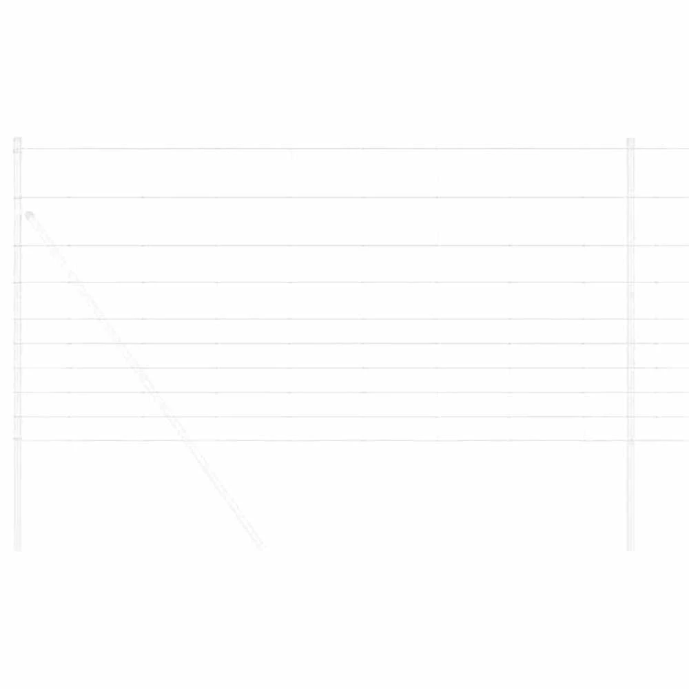 Ganyklų tvora Sidabro