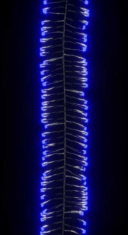 LED lempučių girlianda, PVC, 2000 mėlynų LED, tanki