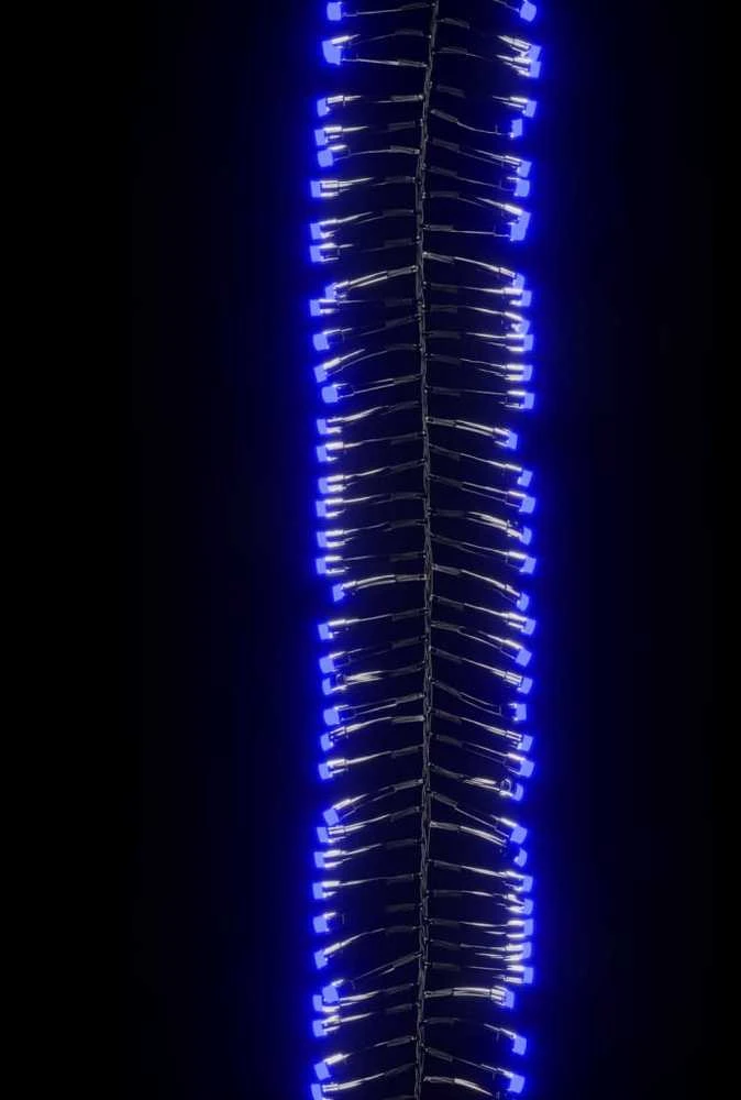LED lempučių girlianda, PVC, 3000 mėlynų LED, tanki