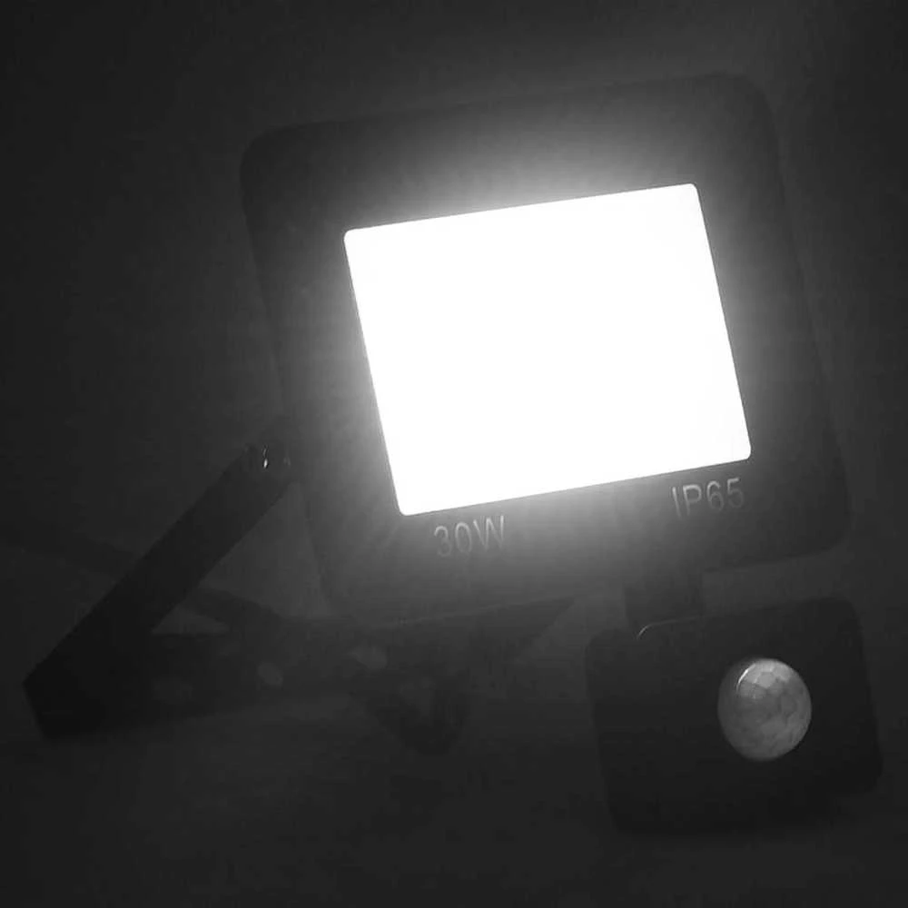 LED prožektorius su jutikliu, šaltos baltos spalvos, 30W