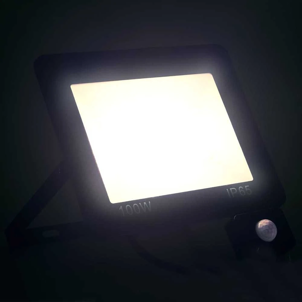 LED prožektorius su jutikliu, šaltos baltos spalvos, 100W