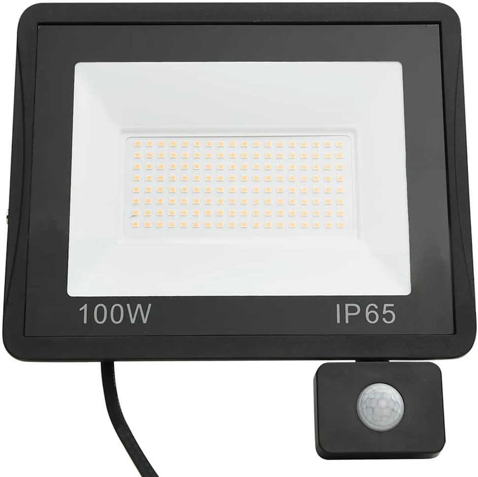 LED prožektorius su jutikliu, šaltos baltos spalvos, 100W
