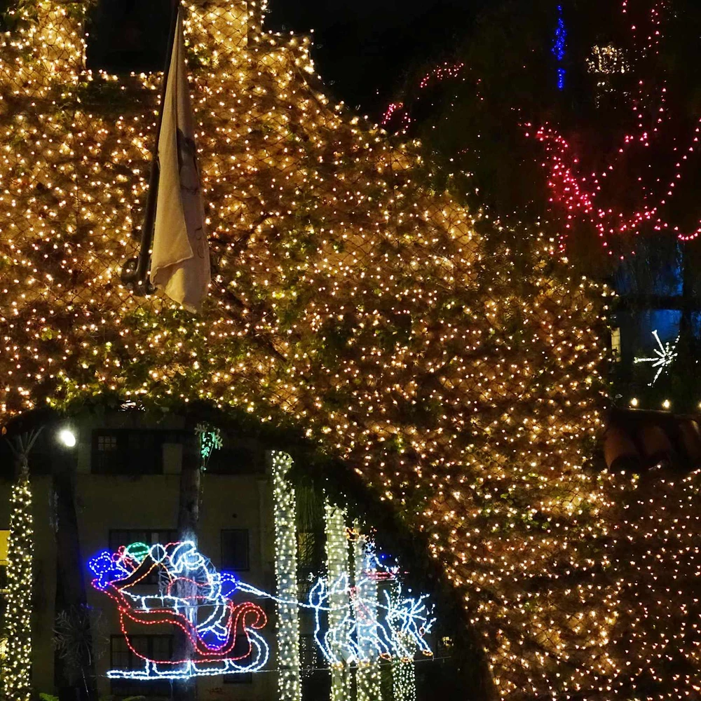 LED tinklas Tamsiai žalia