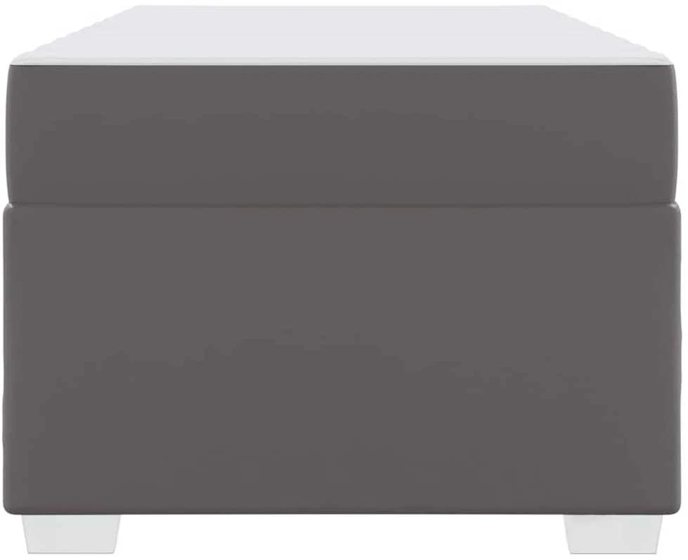 Lova Lovos rėmas Pilka 100 x 200 cm PVC