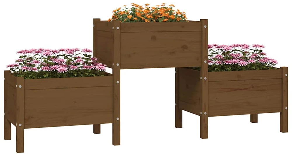 Lovelis, medaus rudas, 178,5x44x75cm, pušies medienos masyvas