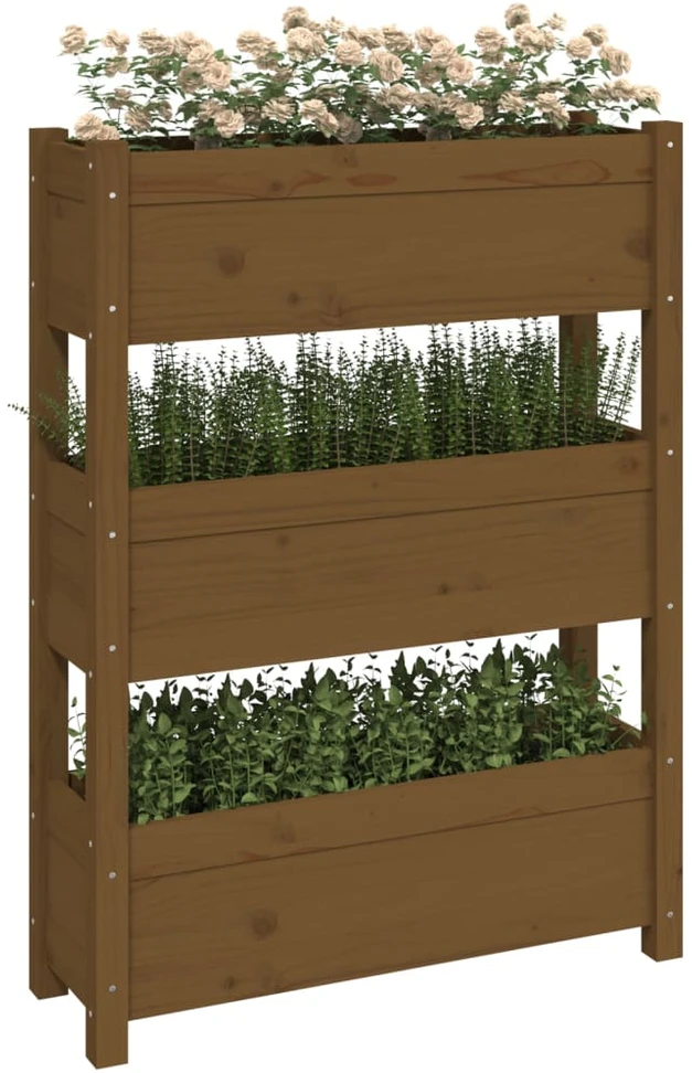 Lovelis, medaus rudas, 77x25x104,5cm, pušies medienos masyvas