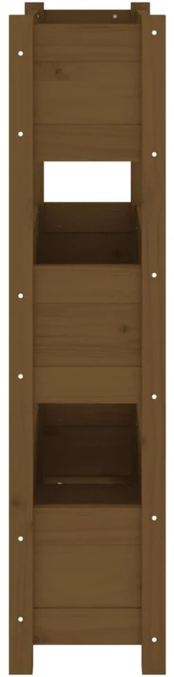 Lovelis, medaus rudas, 77x25x104,5cm, pušies medienos masyvas