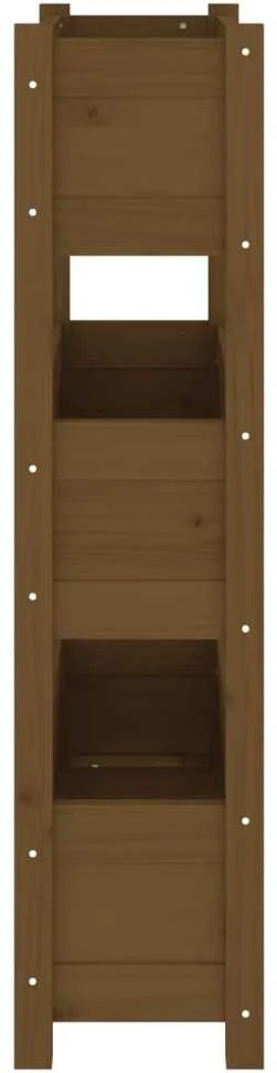 Lovelis, medaus rudas, 77x25x104,5cm, pušies medienos masyvas