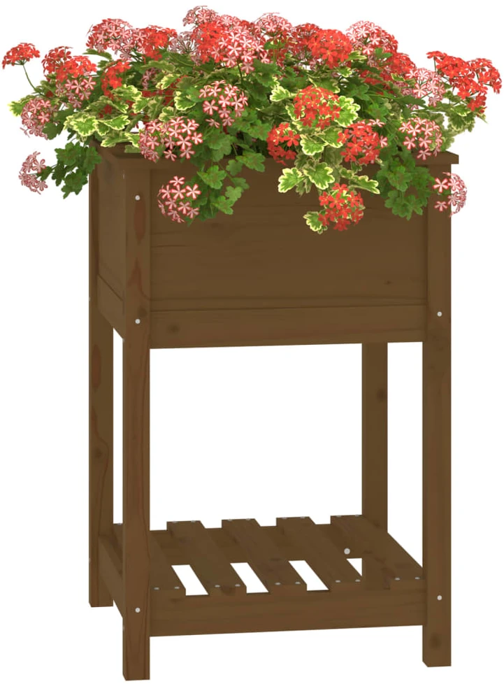 Lovelis su lentyna, medaus rudas, 54x54x81cm, pušies masyvas
