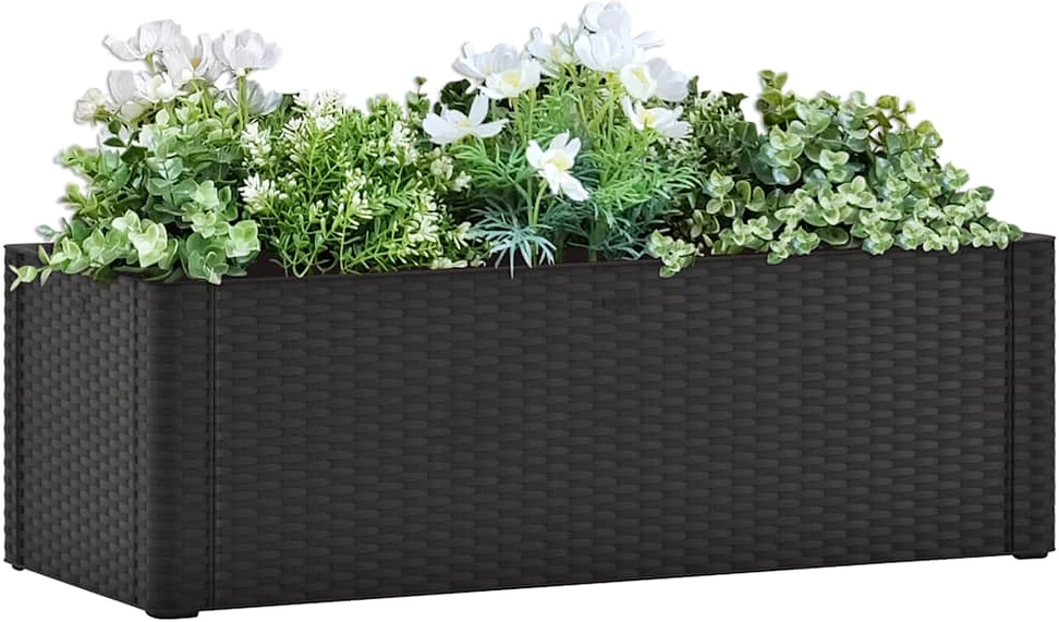 Lovelis su savaiminio laistymo sistema, antracito, 100x43x33cm