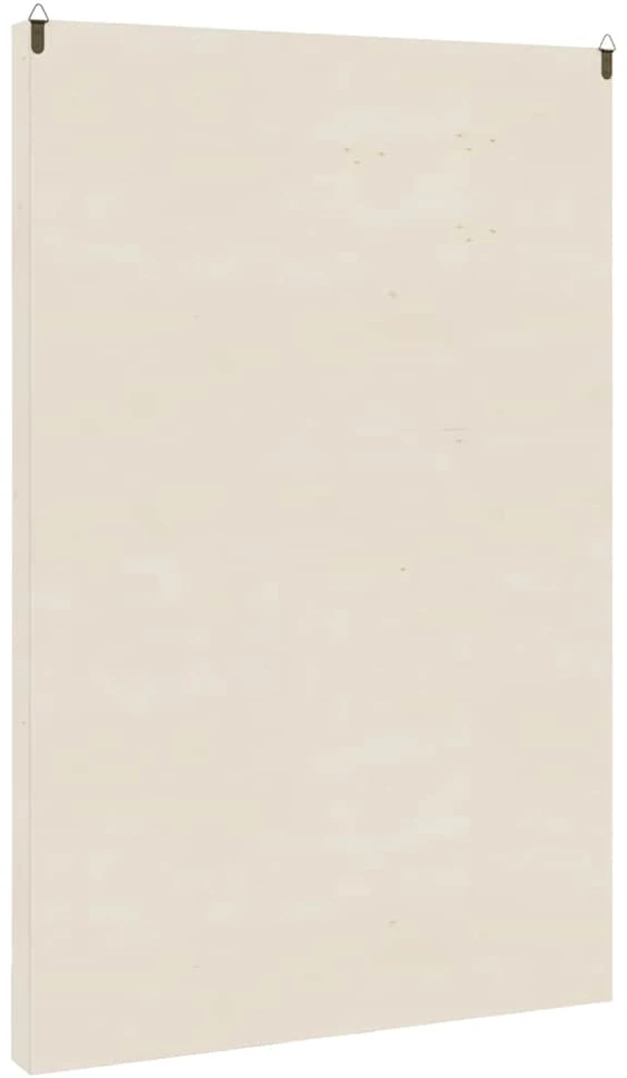 Medinė kolekcinė vitrina su 90 skyrių, 50,5x4,5x79 cm