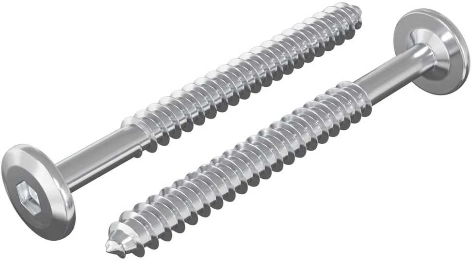 Mediniai varžtai 2 vnt. Sidabrinė M6 x 70 mm Plienas