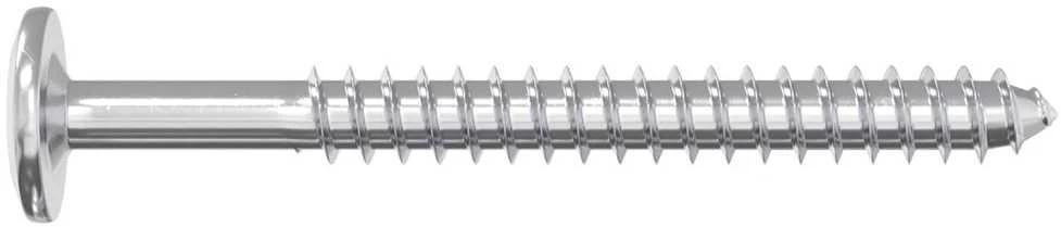 Mediniai varžtai 2 vnt. Sidabrinė M6 x 70 mm Plienas