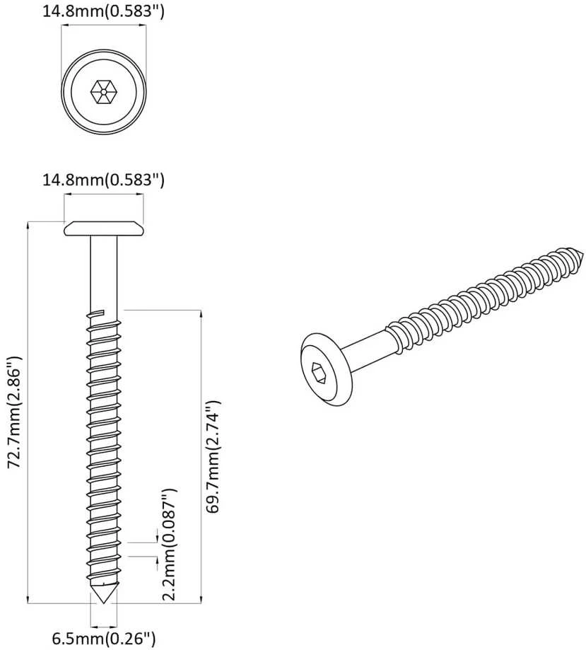 Mediniai varžtai 2 vnt. Sidabrinė M6 x 70 mm Plienas