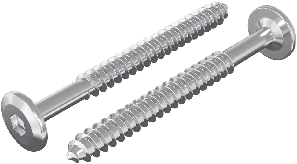 Mediniai varžtai 2 vnt. Sidabrinė M6 x 70 mm Plienas