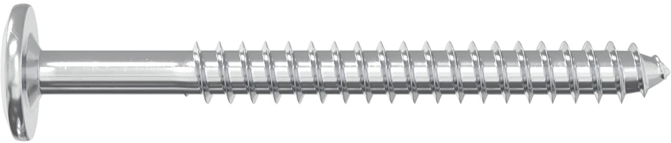 Mediniai varžtai 2 vnt. Sidabrinė M6 x 70 mm Plienas