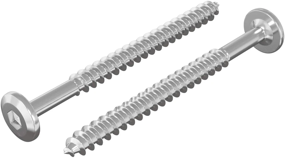 Mediniai varžtai 2 vnt. Sidabrinė M6 x 70 mm Plienas