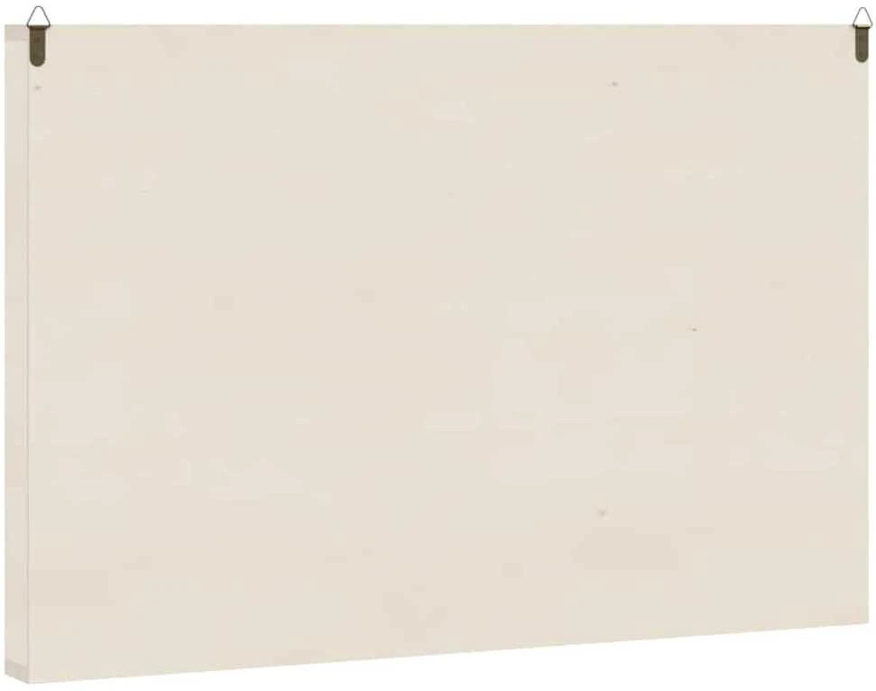 Medinė kolekcinė vitrina su 60 skyrių, 60x4,5x40,5 cm