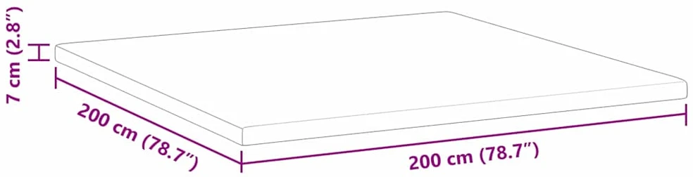 Miegamojo putų čiužinio užvalkalas 200 x 200 cm Thick Minkštas