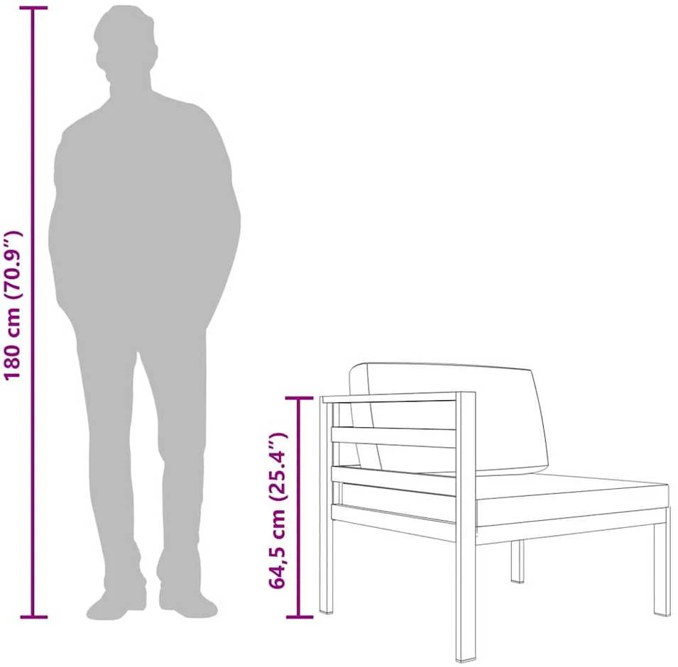 Modulinė kampinė sofa su pagalvėmis, antracito, aliuminis
