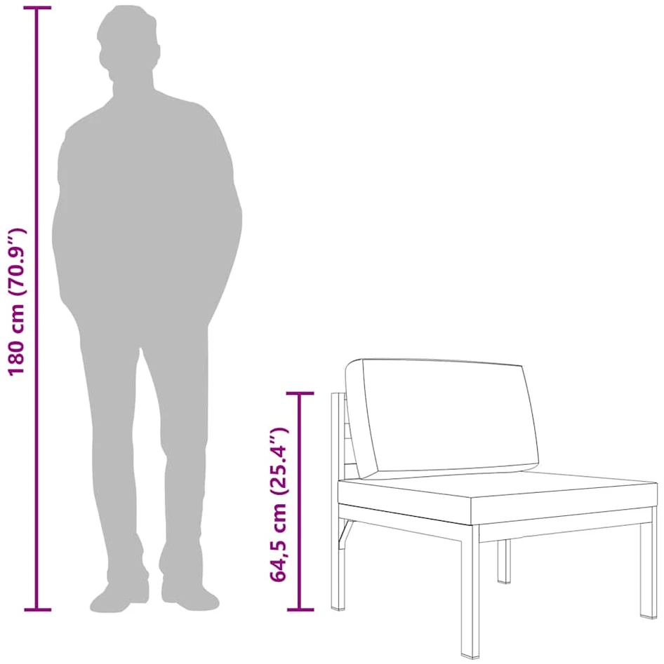 Modulinė vidurinė sofa su pagalvėmis, antracito, aliuminis