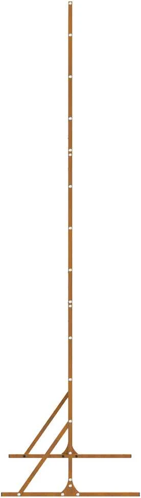 Privatumo žaliuzės 100 x 50 x 180 cm Rūdijanti