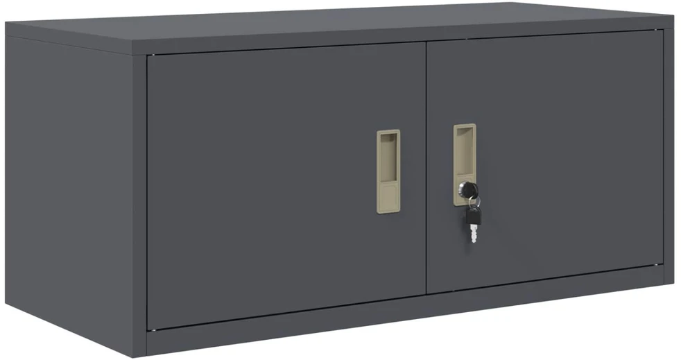 Oppbevaringsskap 2 vnt. Antracitas 90 x 40 x 180 cm Plienas