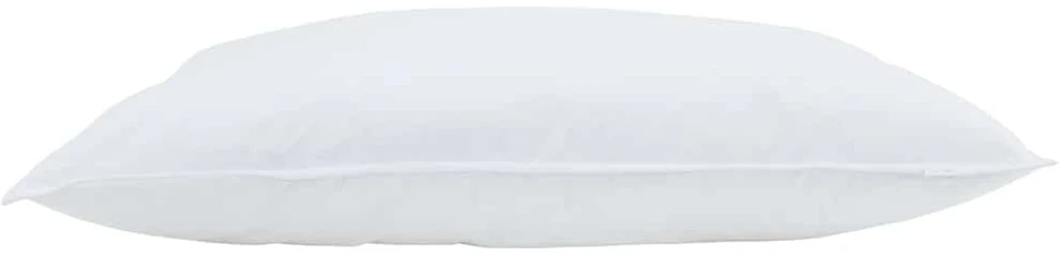 Pagalvė 2 vnt. 60 x 70 cm Plunksna Balta