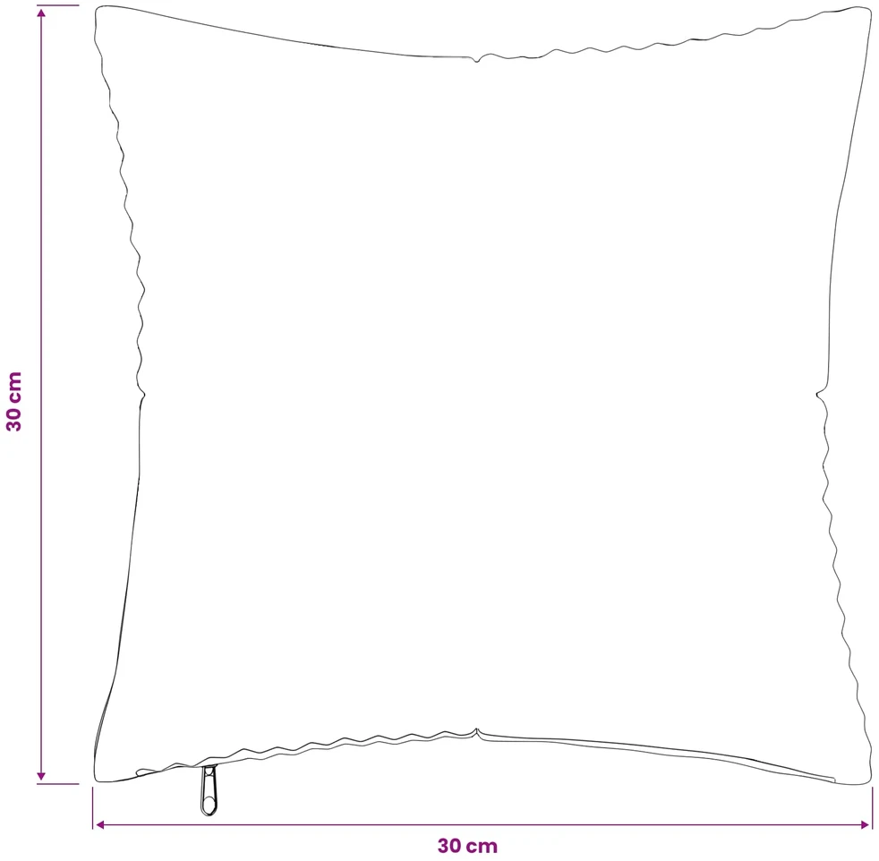 Pagalvėlės užvalkalas 2 pcs ALMELO Antracito 30 x 30 cm