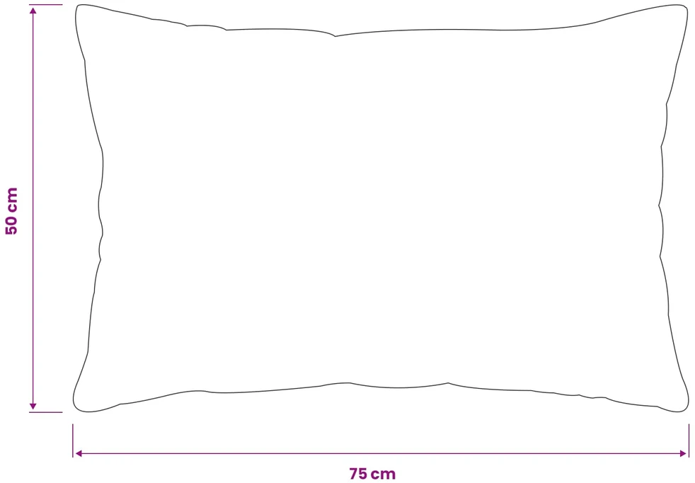 Pagalvėlės užvalkalas 2 pcs HEERLEN Juoda 50 x 75 cm Flanelė