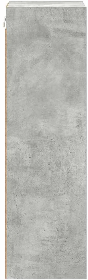 Pakabinama spintelė Betono pilka 30 x 29,5 x 100 cm
