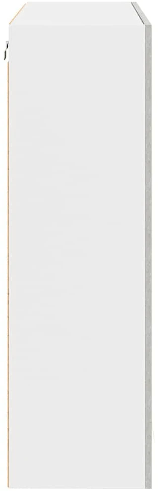 Pakabinama spintelė Betono pilka 80 x 31 x 100 cm
