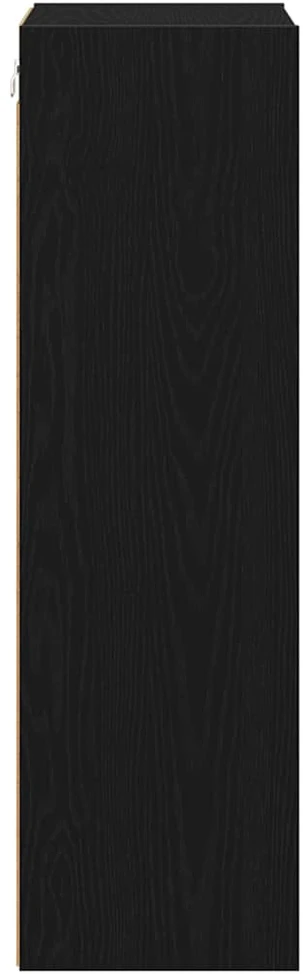 Pakabinama spintelė Juodas ąžuolas 40 x 29,5 x 100 cm