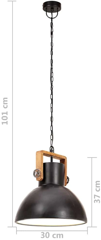 Pakabinamas šviestuvas, juodas, 30cm, 25W, apskritas, E27