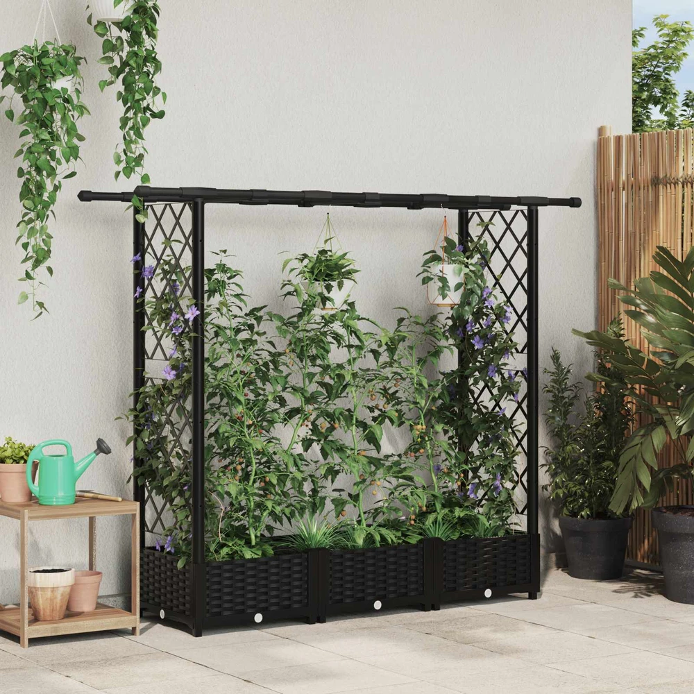 Pakeltas lovas su trelėmis ir stogu Juoda 164 x 40 x 121 cm PP